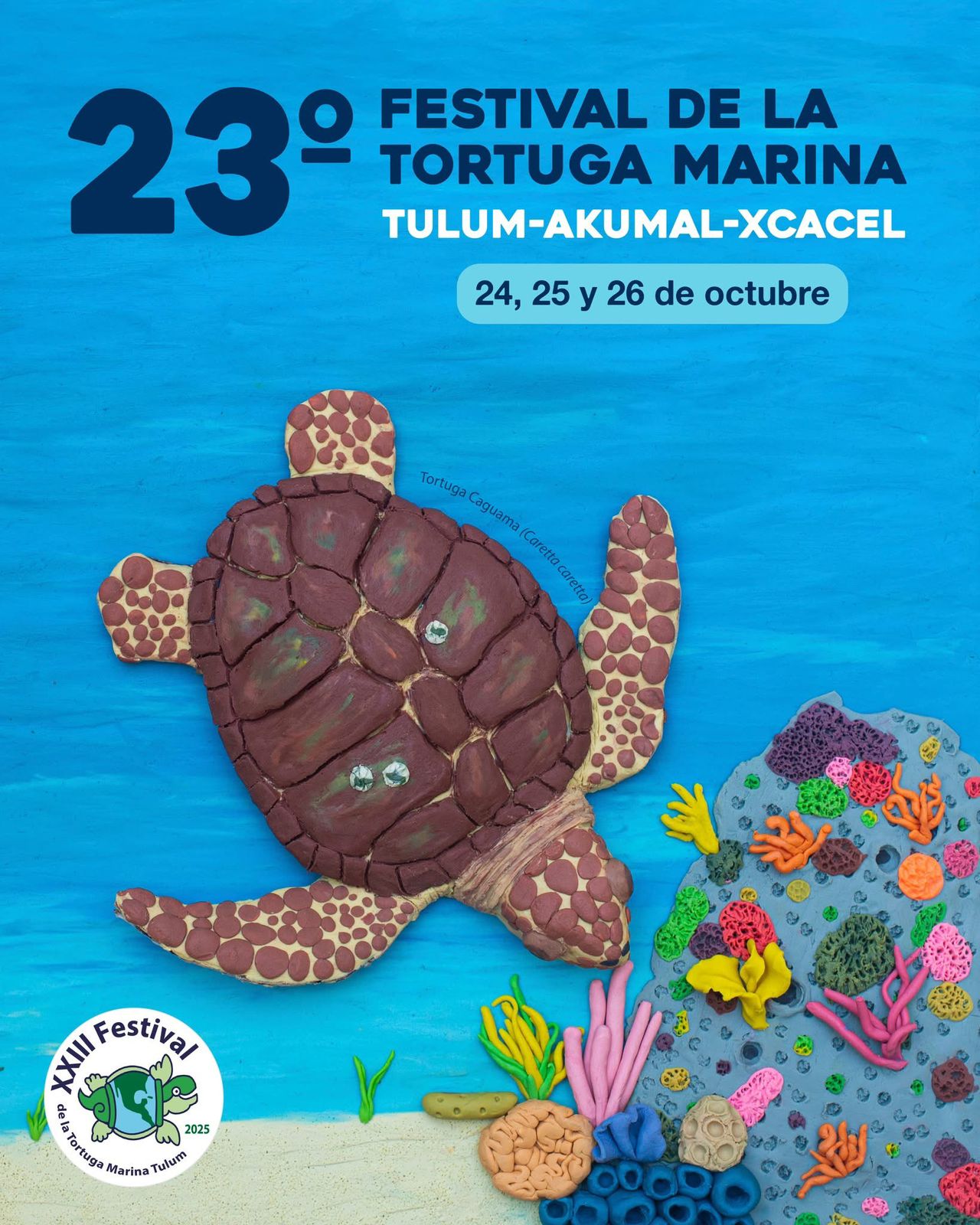 23º Festival de la Tortuga Marina image