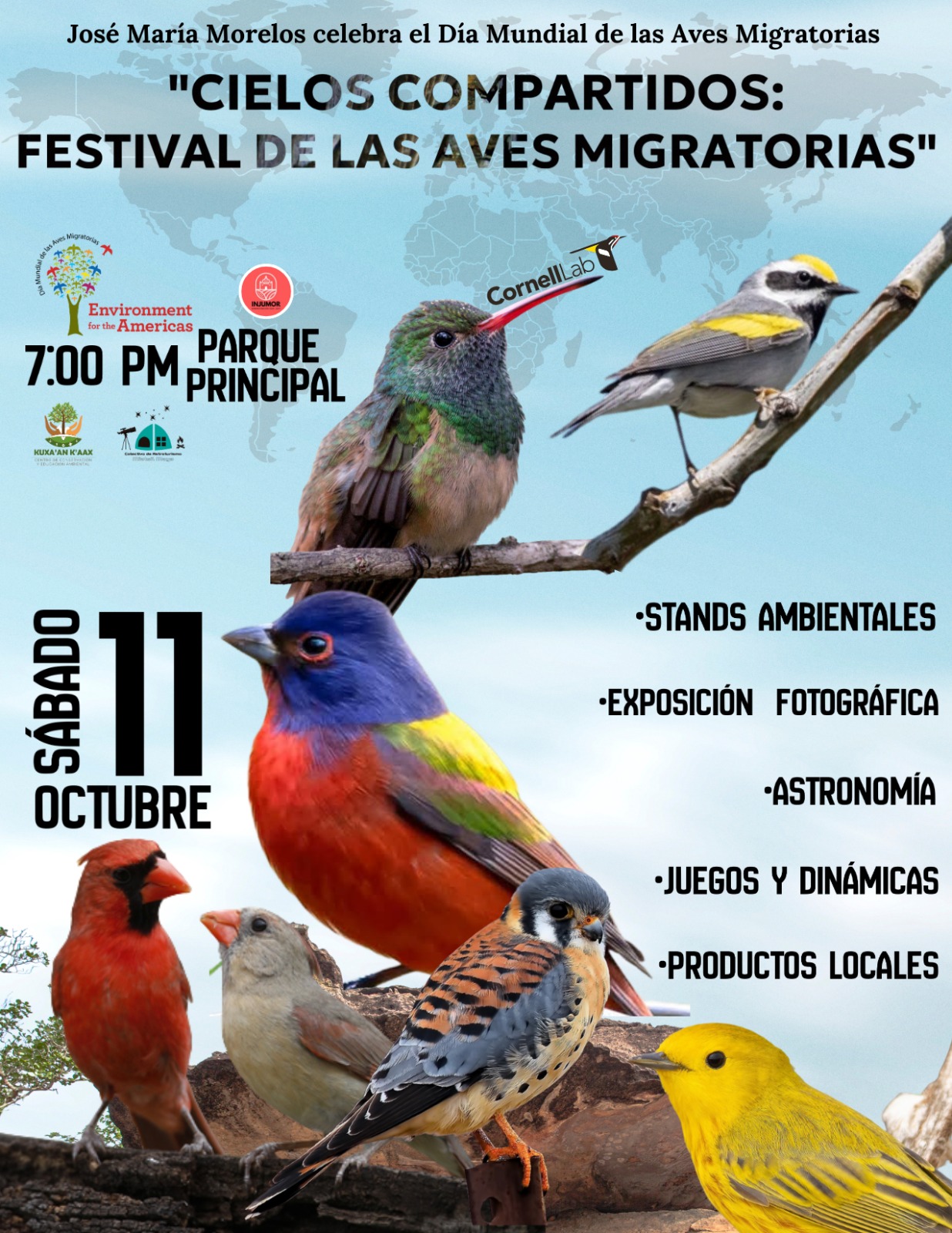 Festival de las aves migratorias. image