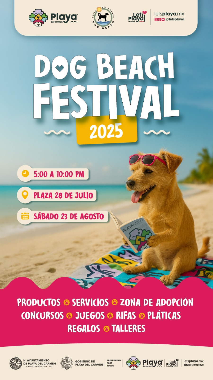 Dog Beach Festival 2025 image