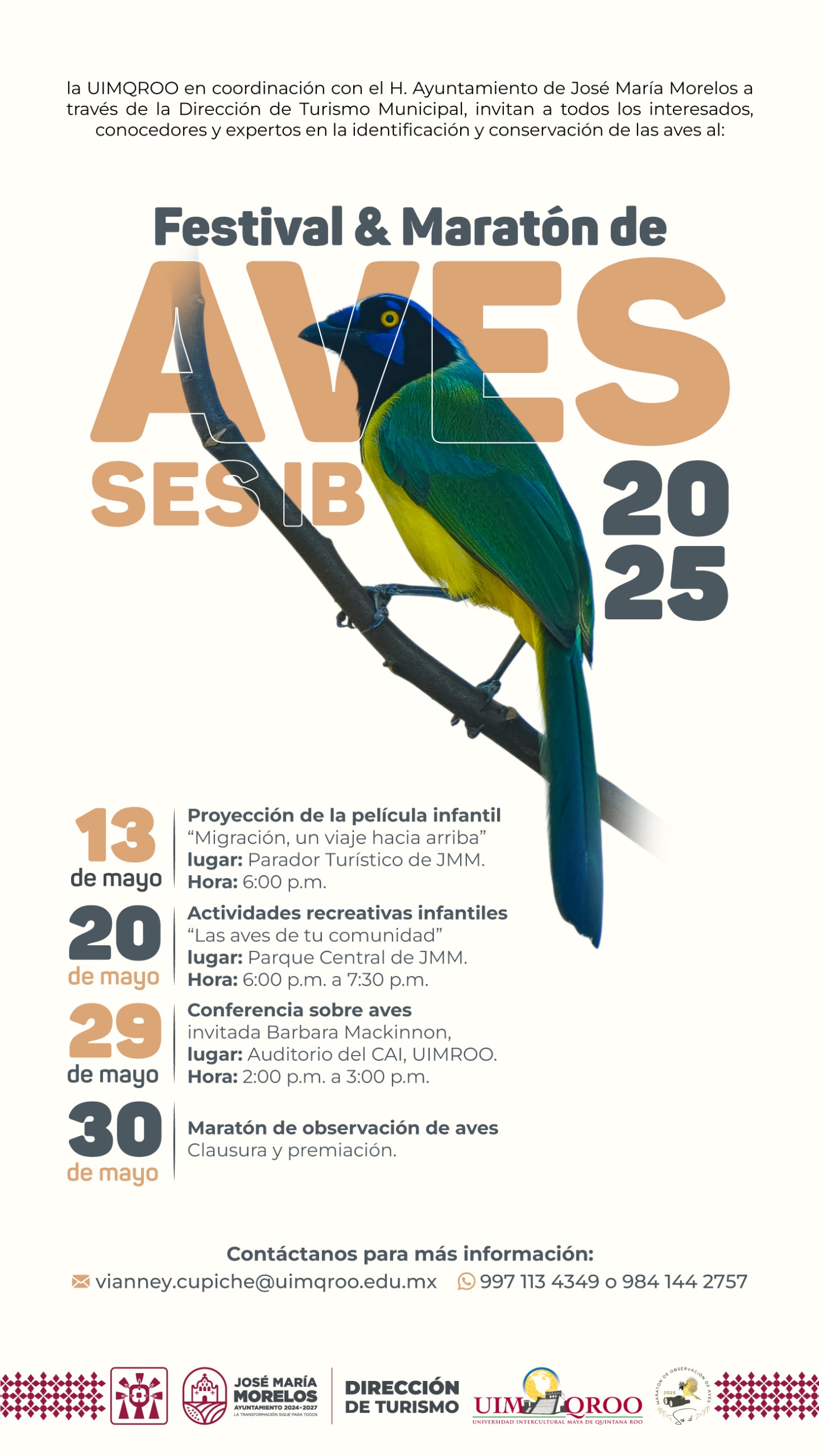 Maratón de aves 