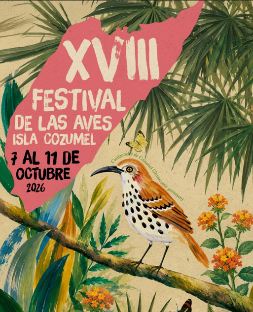 XVIII Festival de las Aves Isla Cozumel